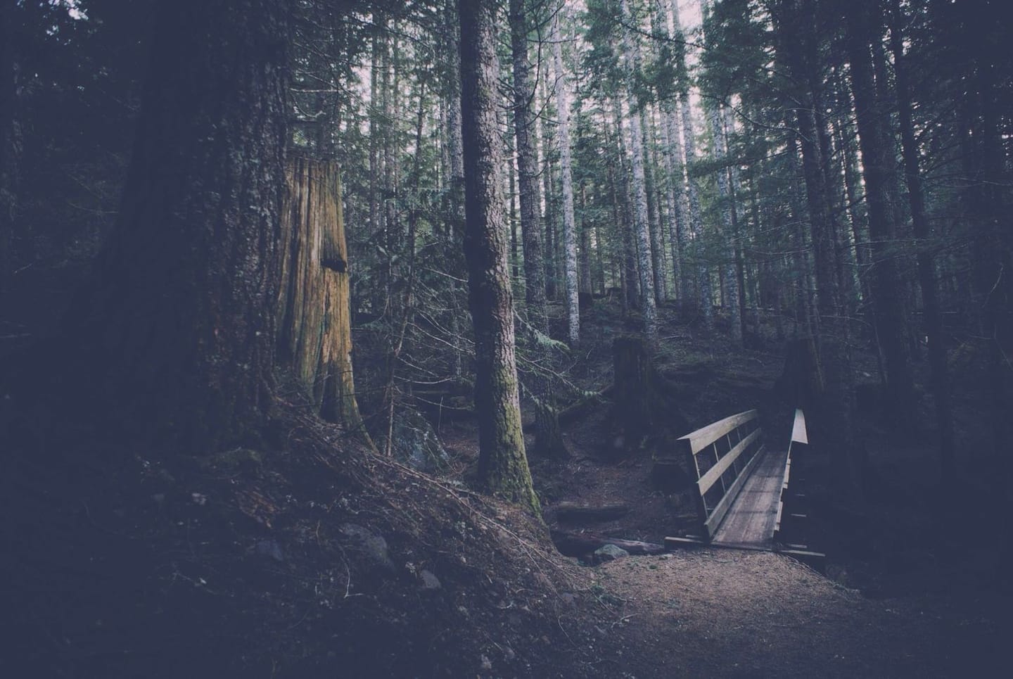 image hover